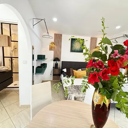 Belle Epoque Saint-raphael